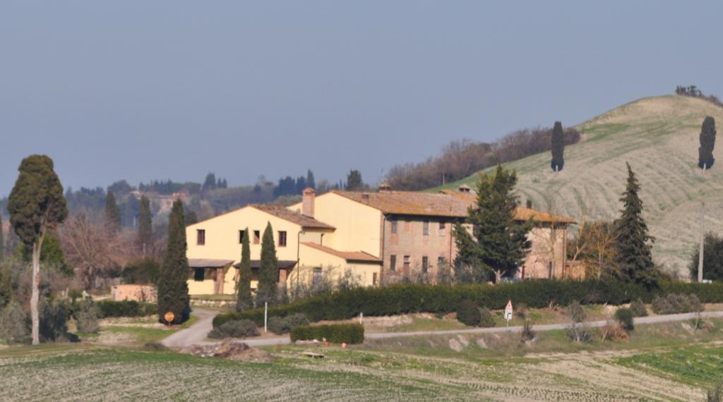 Agriturismo Il Torrione 切塔尔多 外观 照片