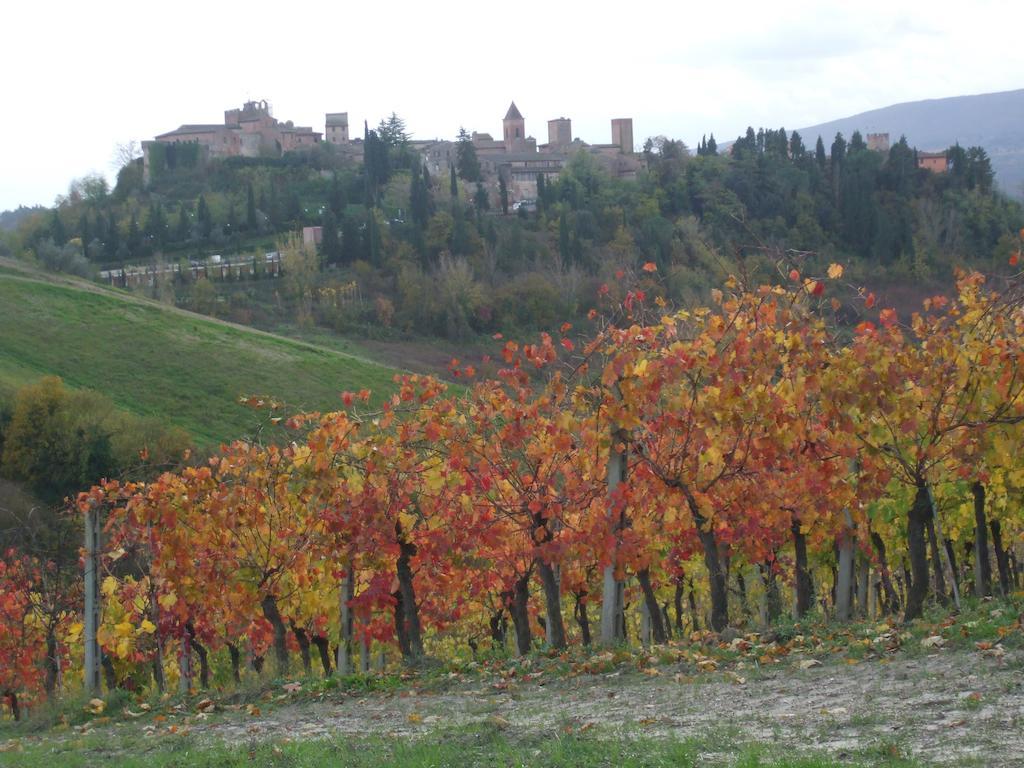 Agriturismo Il Torrione 切塔尔多 外观 照片