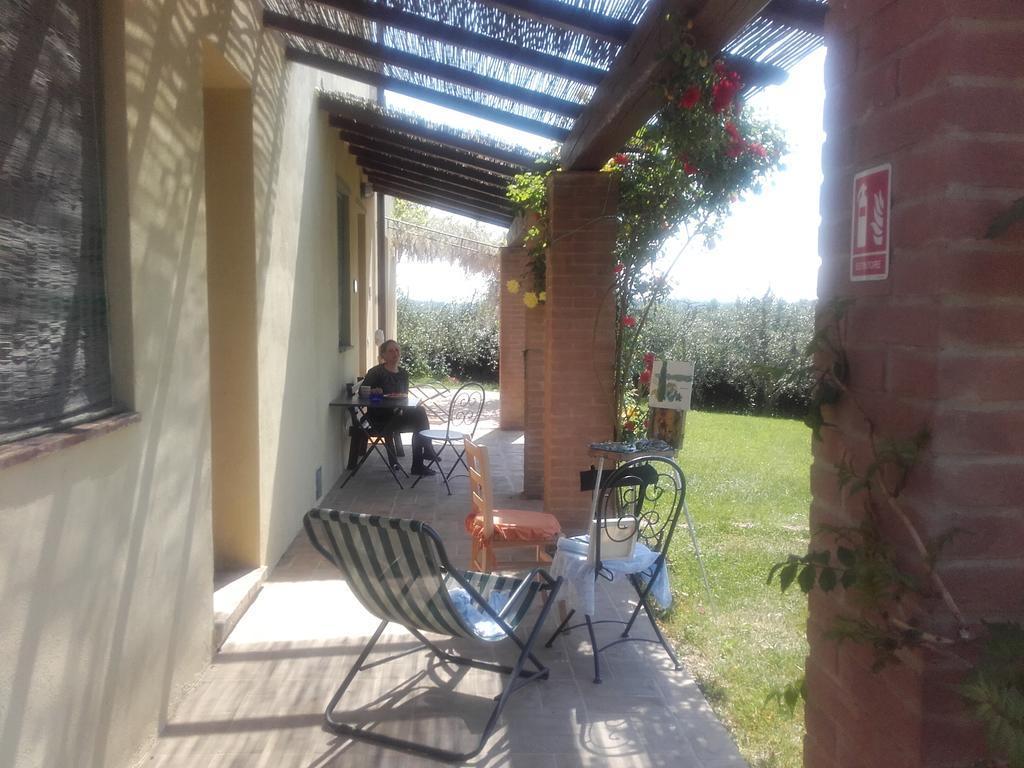 Agriturismo Il Torrione 切塔尔多 外观 照片