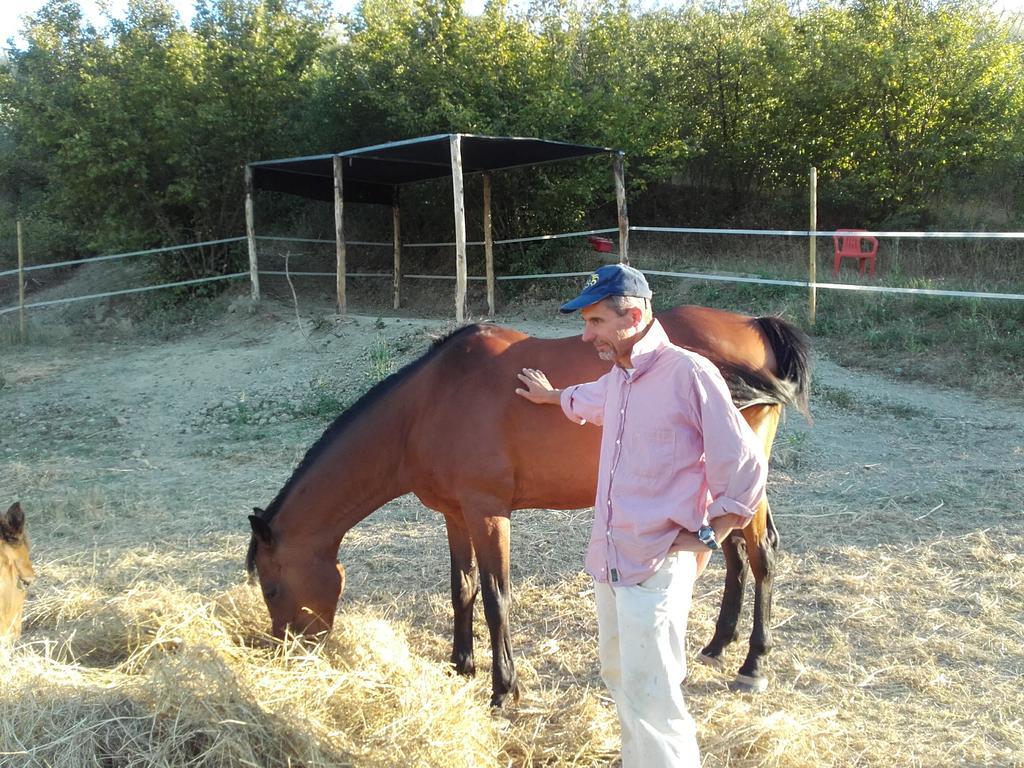 Agriturismo Il Torrione 切塔尔多 外观 照片