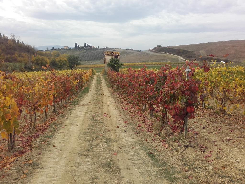 Agriturismo Il Torrione 切塔尔多 外观 照片