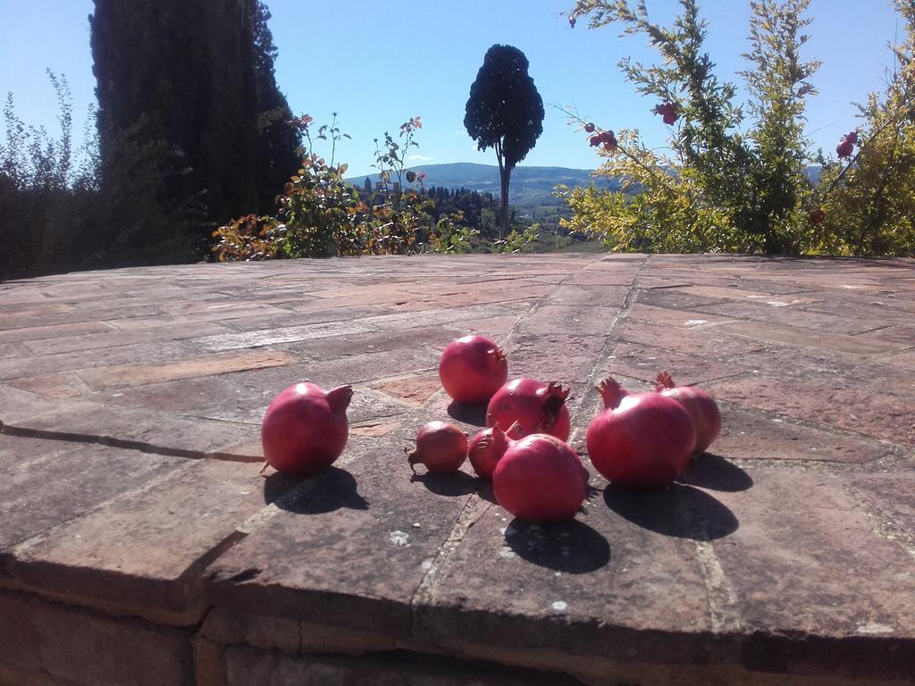 Agriturismo Il Torrione 切塔尔多 外观 照片