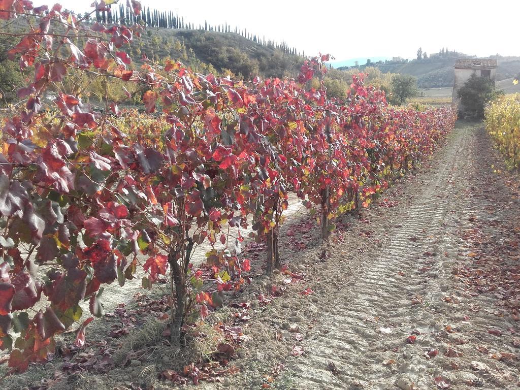 Agriturismo Il Torrione 切塔尔多 外观 照片