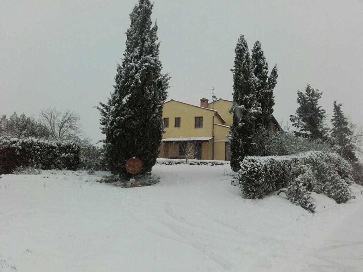 Agriturismo Il Torrione 切塔尔多 外观 照片