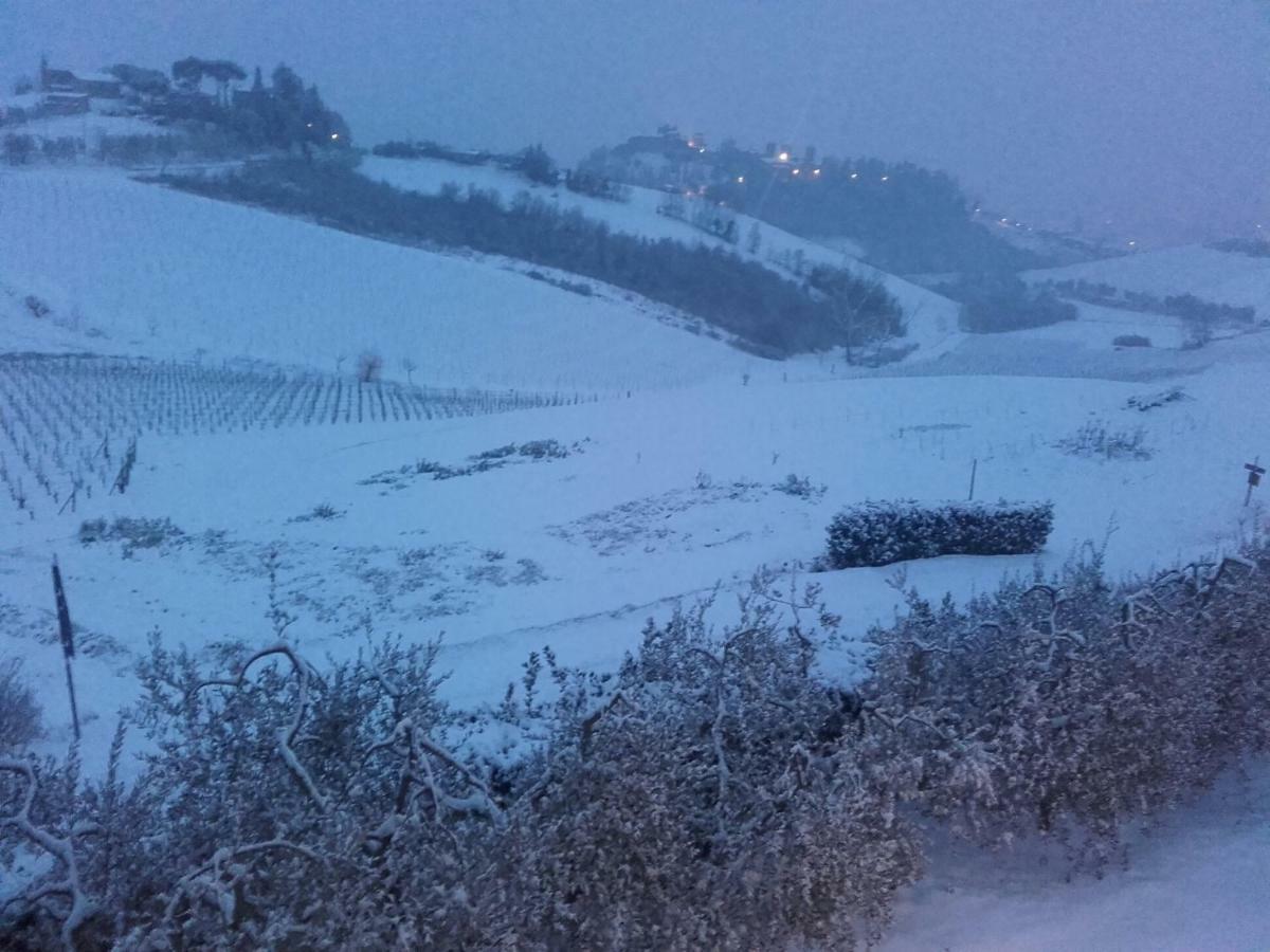 Agriturismo Il Torrione 切塔尔多 外观 照片