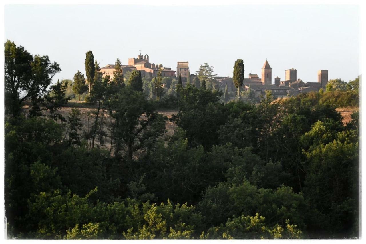 Agriturismo Il Torrione 切塔尔多 外观 照片