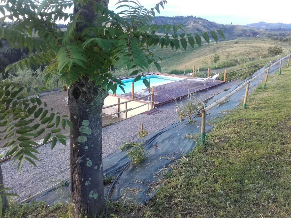 Agriturismo Il Torrione 切塔尔多 外观 照片