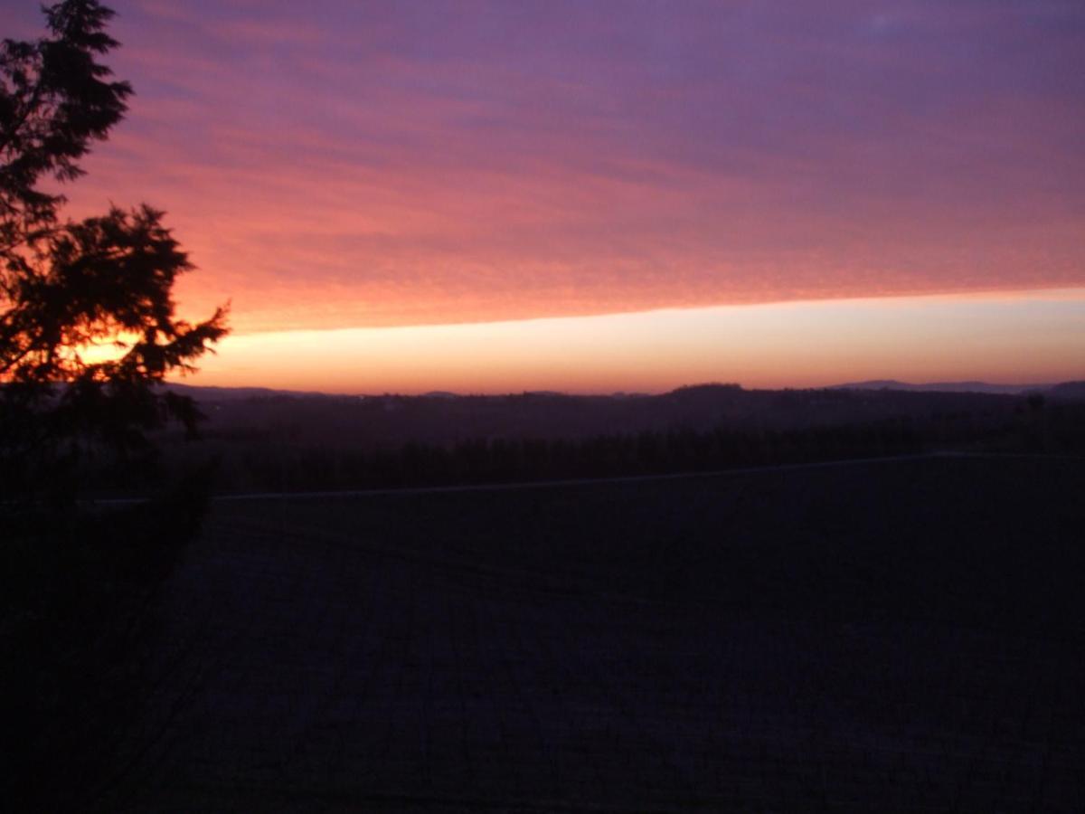Agriturismo Il Torrione 切塔尔多 客房 照片